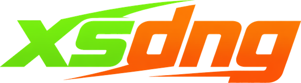 xsdng logo